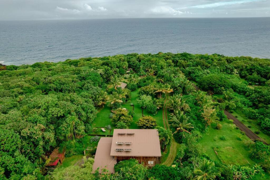 Jungle Haven Ocean Front Eco Villa On Fruit Farm Pahoa Exterior photo